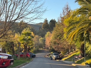 Imagen 20