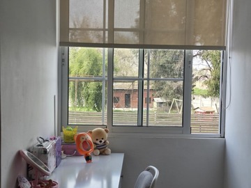 Imagen 10