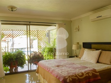 Imagen 13