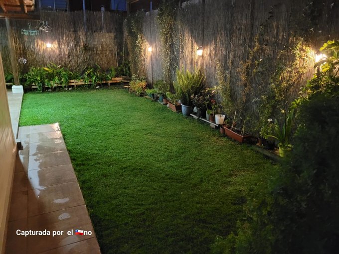 Jardín de noche