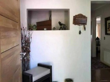 Imagen 20