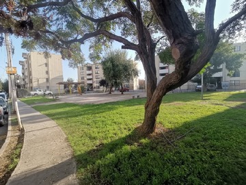 Imagen 26