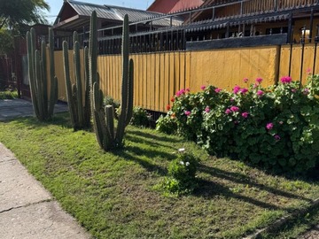 Venta / Casa / Macul
