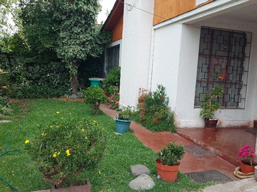 Imagen 4