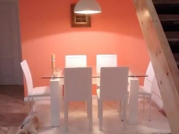 Imagen 7