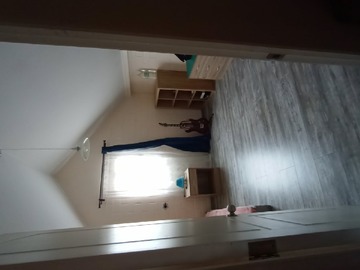 Imagen 21