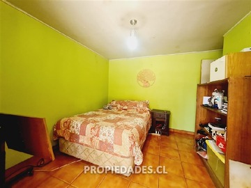 Imagen 7