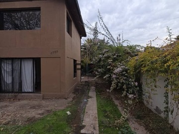 Imagen 6