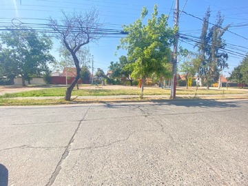Imagen 11