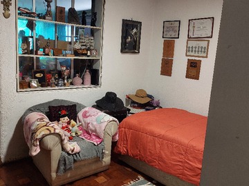 Imagen 5