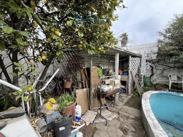 Imagen 17