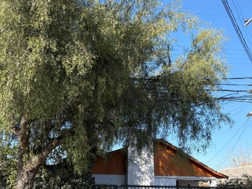 Venta / Casa / Macul