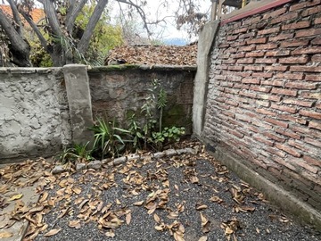 Imagen 10