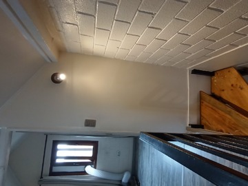 Imagen 13