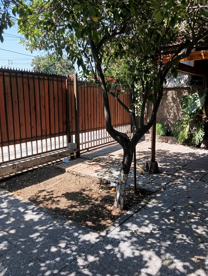 Antejardín y portón vehiculo