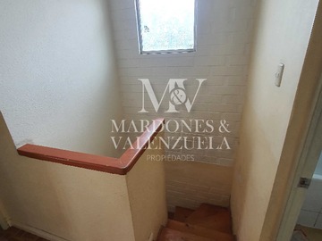 Imagen 11