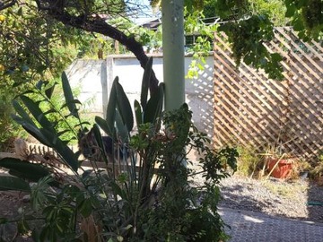 Imagen 9
