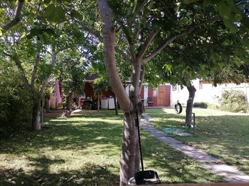 Imagen 8