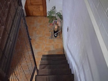 Imagen 8