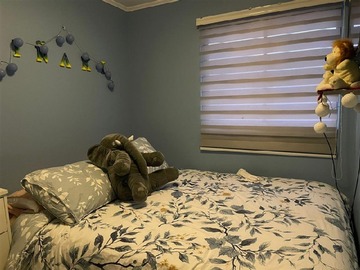Imagen 14