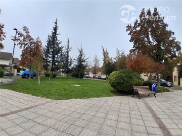 Imagen 21