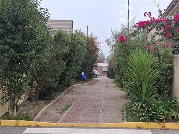 Imagen 19
