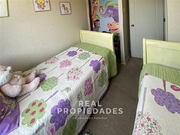 Imagen 9