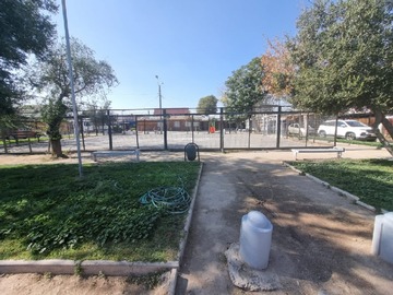 Imagen 6