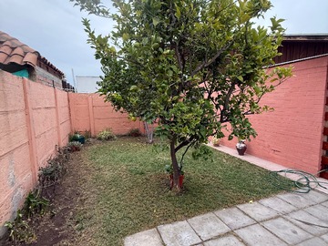 Imagen 12