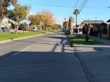 Imagen 13