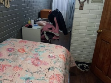 Imagen 12