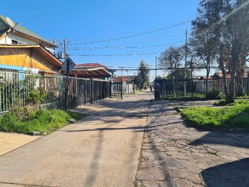 Imagen 5