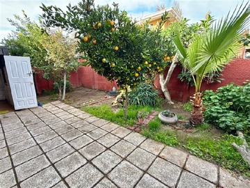 Imagen 5