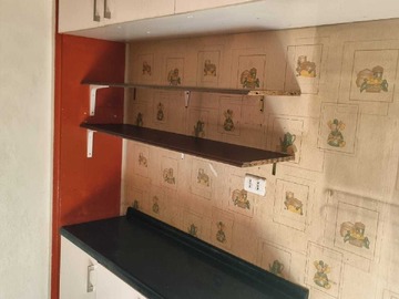 Imagen 13