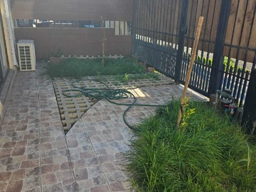 Imagen 13