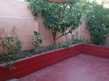 Imagen 8
