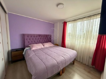 Imagen 19