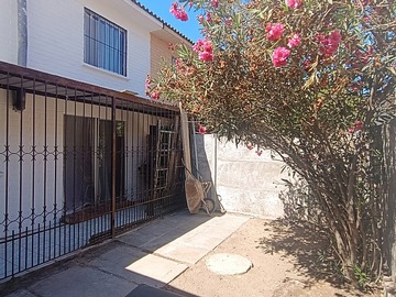 Imagen 7
