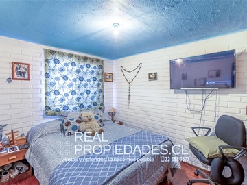 Imagen 5