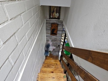 Imagen 7