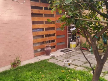 Imagen 12