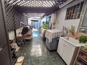Imagen 15