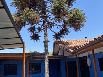 Venta / Casa / Maipú