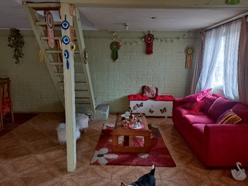 Imagen 4