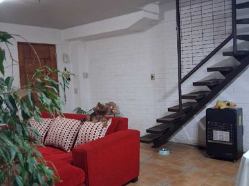 Imagen 5