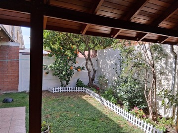 Imagen 11