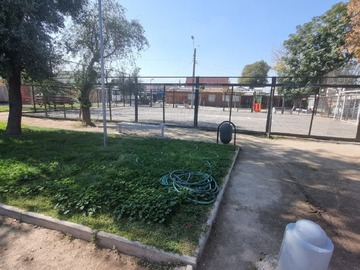 Imagen 5