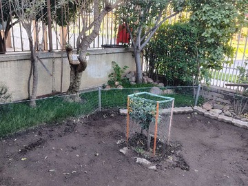 Imagen 13