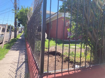 Imagen 9