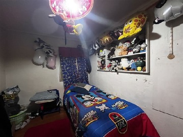 Imagen 16
